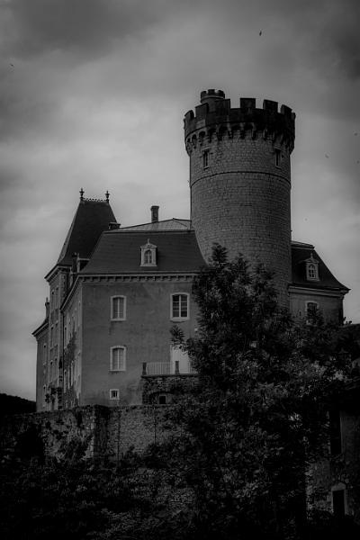 2018_06_06_Haute Savoie  (0080_bnw).jpg - lac  d'Annecy, Duingt (Juin 2018)